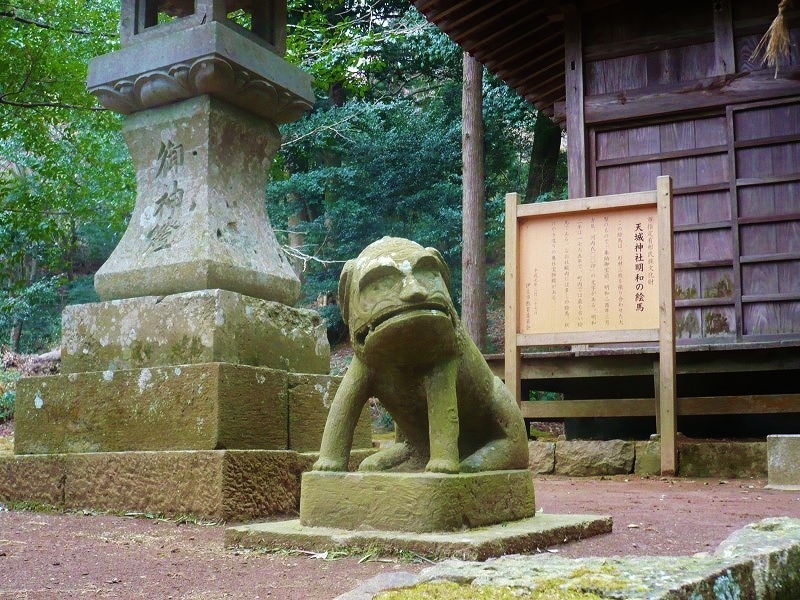 天城神社の狛犬_f0182513_23112460.jpg