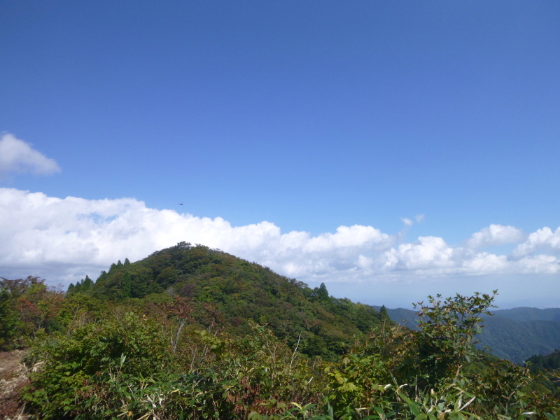 d0170615_19351040.jpg
