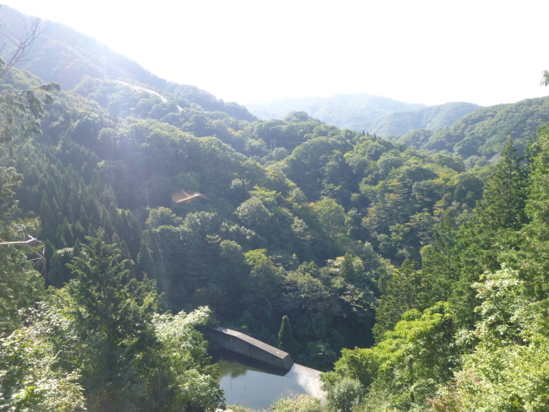 d0170615_19353527.jpg