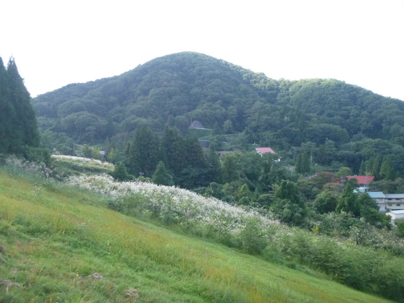 d0170615_19360326.jpg
