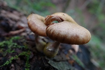f0360815_14034111.jpg