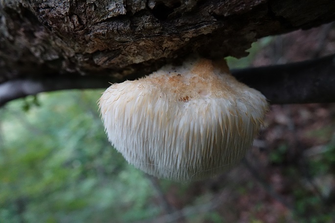 f0360815_14034130.jpg