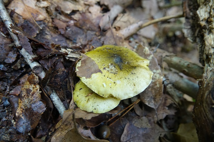 f0360815_14034191.jpg