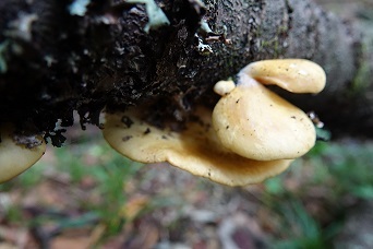 f0360815_14034207.jpg