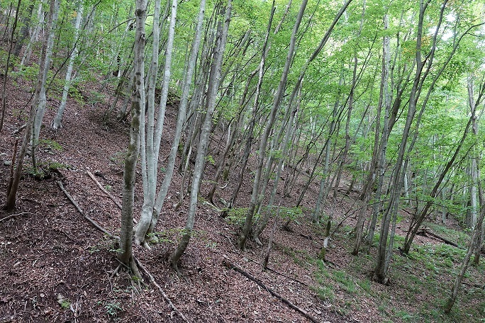 f0360815_14034241.jpg