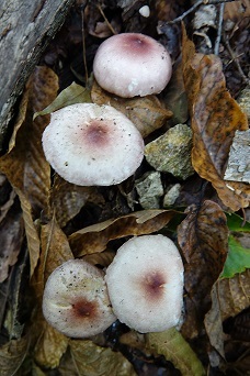 f0360815_14034363.jpg