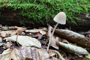 f0360815_14034399.jpg
