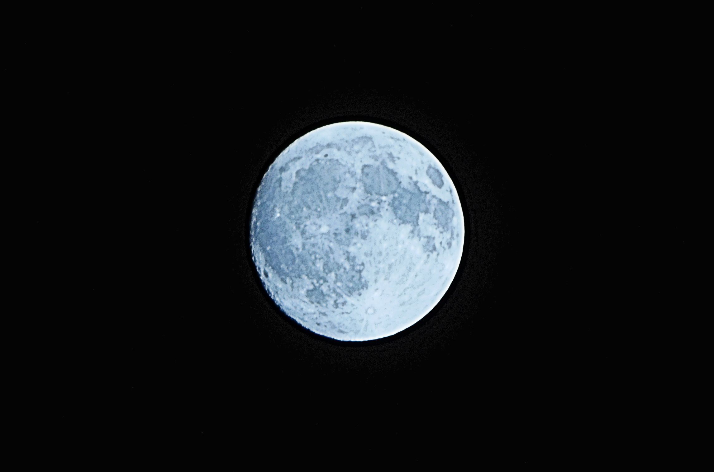 a0315918_20353610.jpg