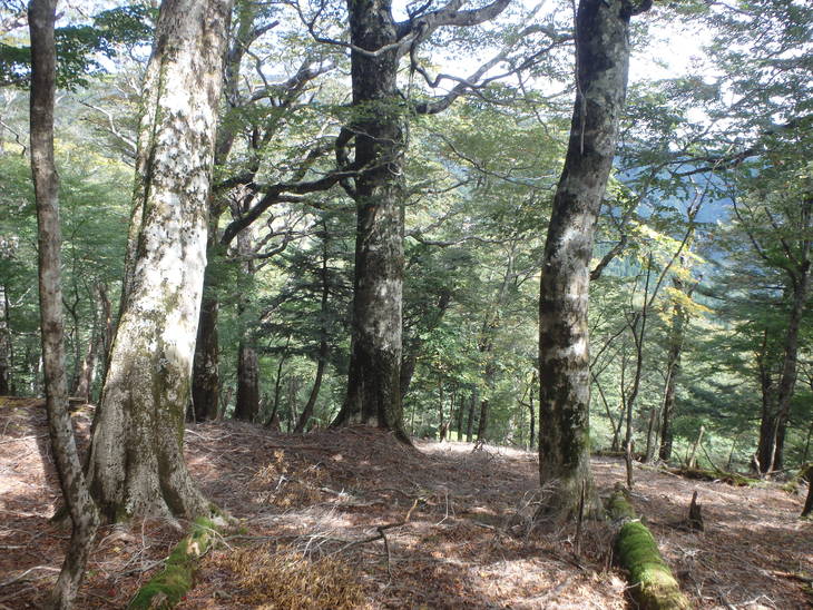 f0193521_17423195.jpg