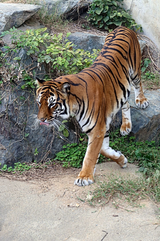 f0224624_11115230.jpg