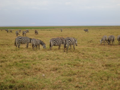 a0124132_15483090.jpg