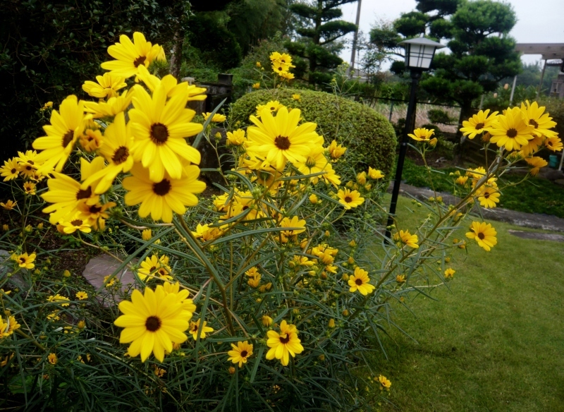 a0206332_18491147.jpg