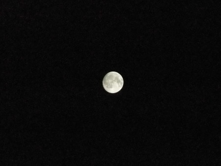 b0137932_21355351.jpg