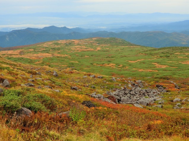 f0118332_00003266.jpg