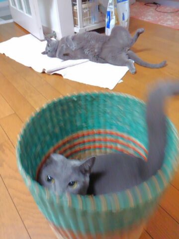 早起きしてるのに_d0152937_17572877.jpg