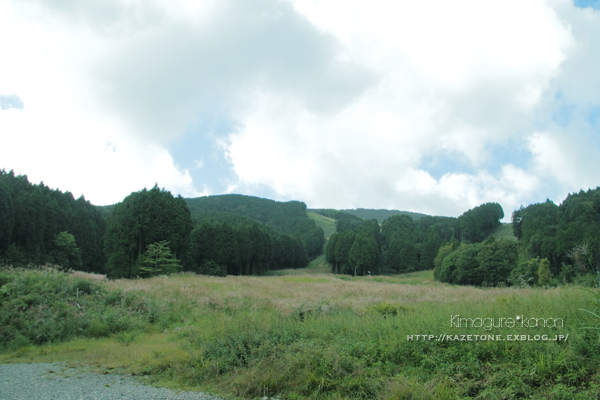 県森、懐かしの道①**心折れる道_b0197639_19222631.jpg