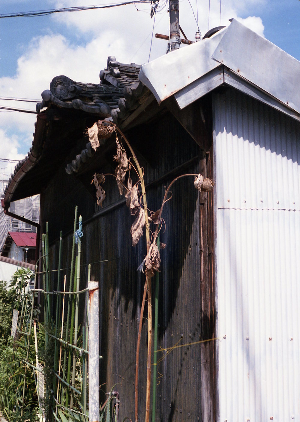 d0089742_11552871.jpg