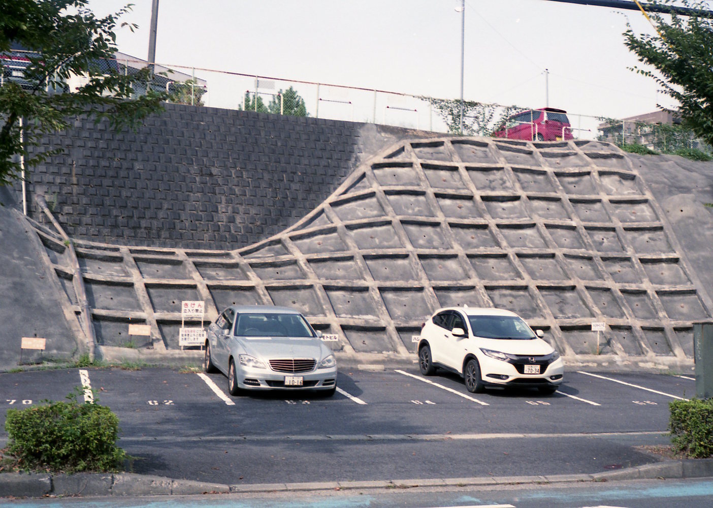 d0089742_11553370.jpg
