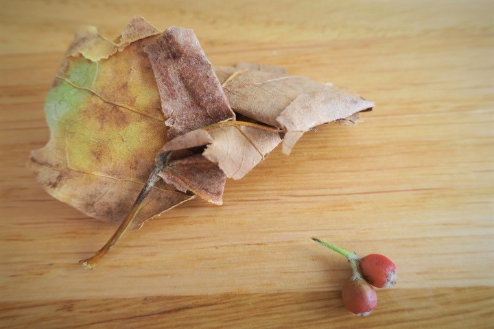 e0300042_17094246.jpg