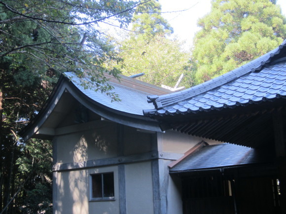 ヒキガエルが守る姥ヶ城の天満神社_a0237545_10113226.jpg