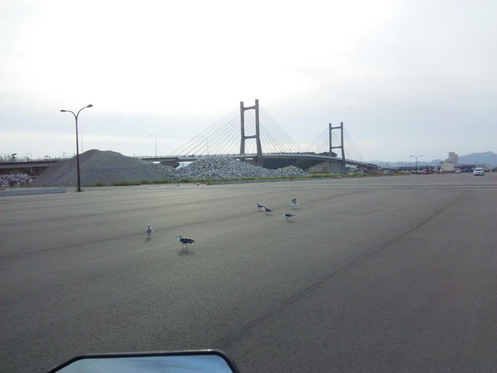 a0315448_21272257.jpg