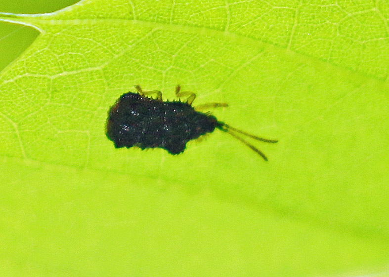 d0146854_09143092.jpg