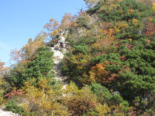 e0245655_00515320.jpg