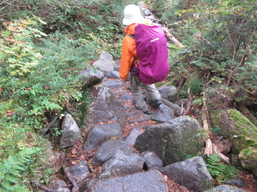 2017年１０月２日　新穂高へと下山_e0245655_05193027.jpg