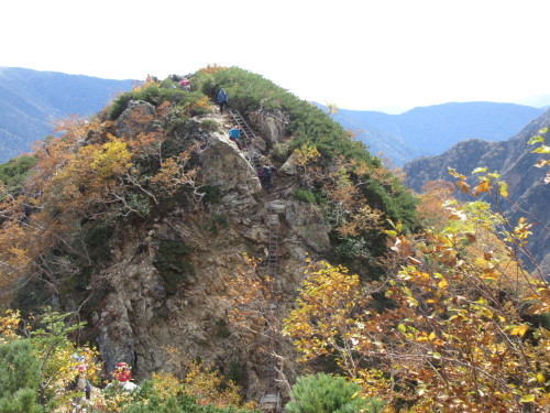 e0245655_08365325.jpg