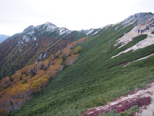 b0335256_21590154.jpg