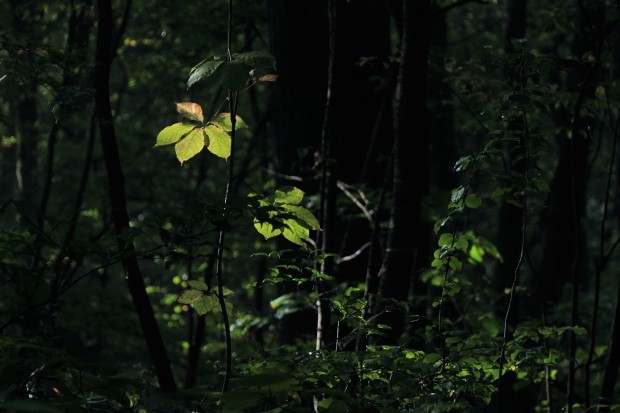 c0294658_08261729.jpg