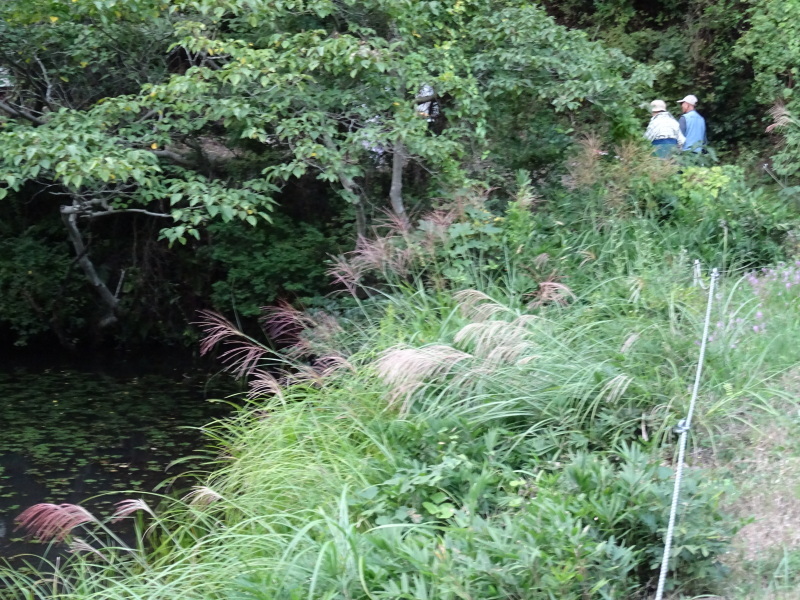 c0108460_23243367.jpg