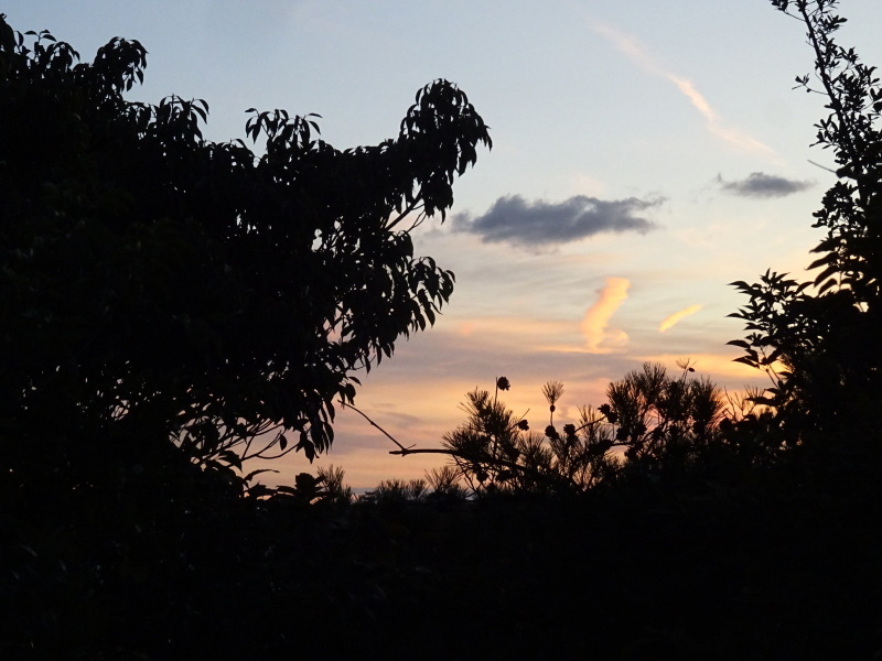 c0108460_23271298.jpg