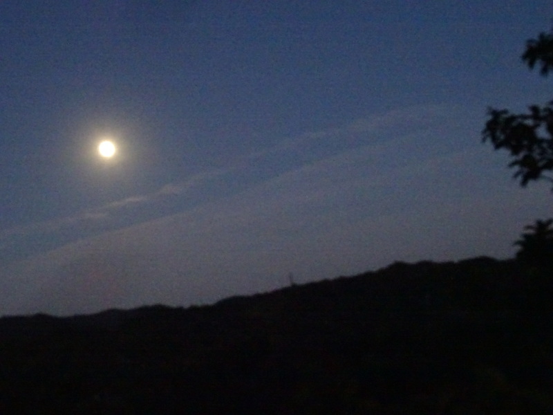c0108460_23292387.jpg