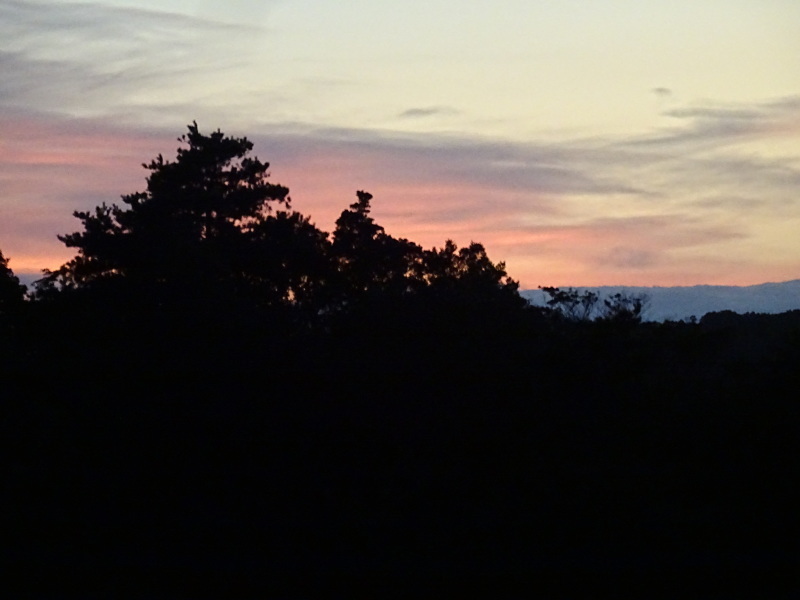c0108460_23292594.jpg