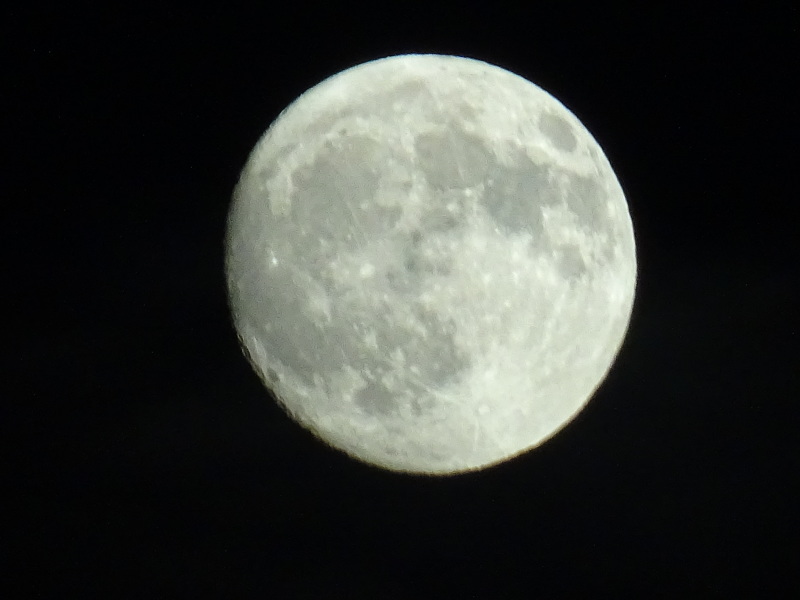 c0108460_23303956.jpg