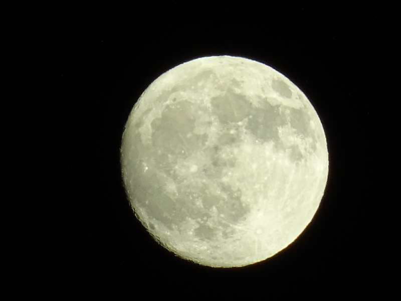c0108460_23433793.jpg