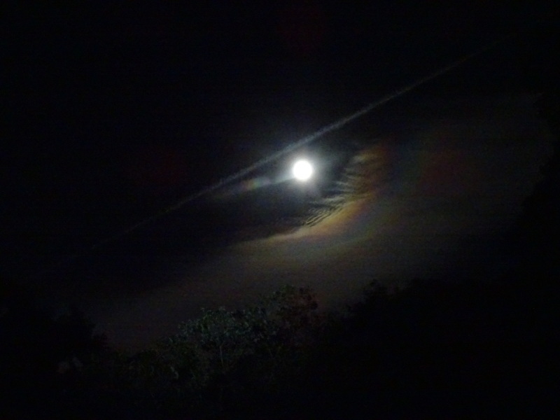 c0108460_23470154.jpg