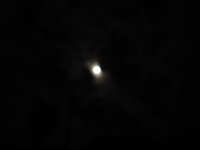 e0278968_21220723.jpg