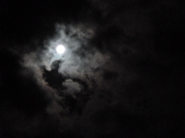 e0278968_21274233.jpg