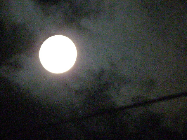 e0278968_22342750.jpg
