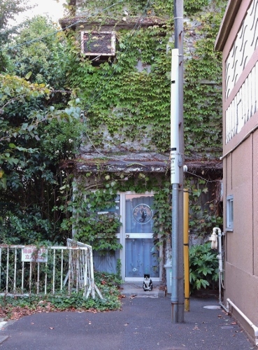 f0367170_22462419.jpg