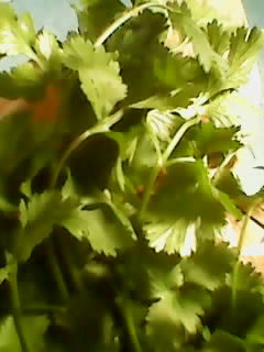 d0340774_22571768.jpg