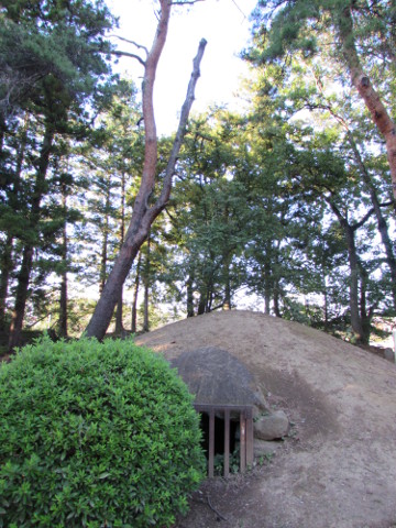 b0004675_19525489.jpg