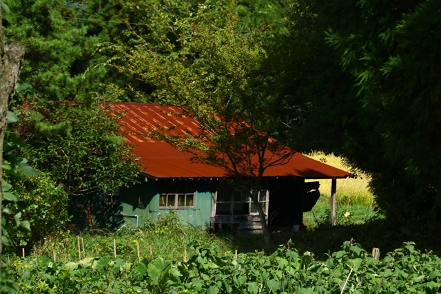 d0126577_22362621.jpg