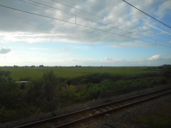 真夏の北日本海鉄道 9 (羽越本線 新発田駅・新津駅/ほか)_b0005281_6174574.jpg