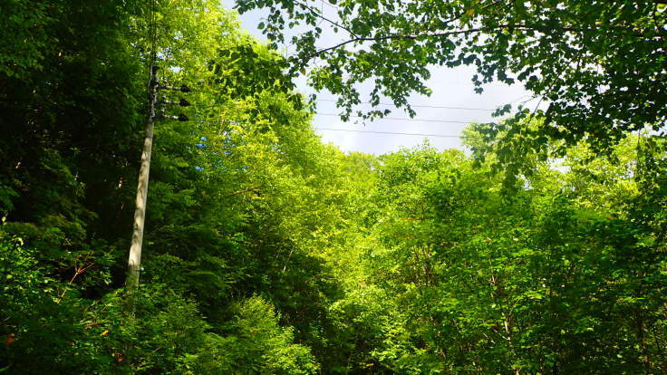 a0242984_06401412.jpg