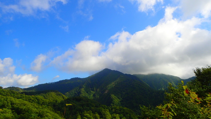 a0242984_06430628.jpg