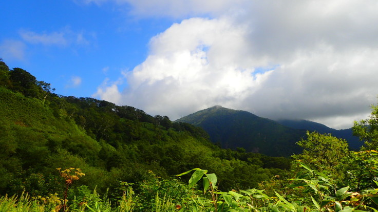 a0242984_06544921.jpg