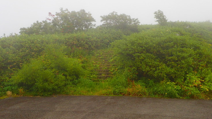 a0242984_07043023.jpg